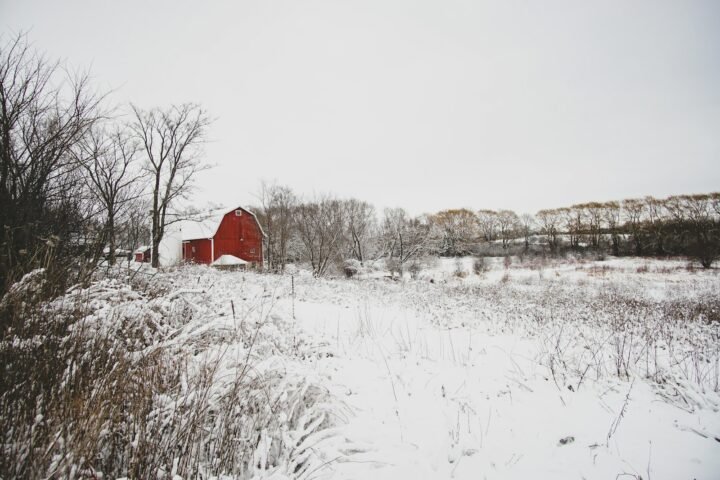 red house surrounded with snow and trees