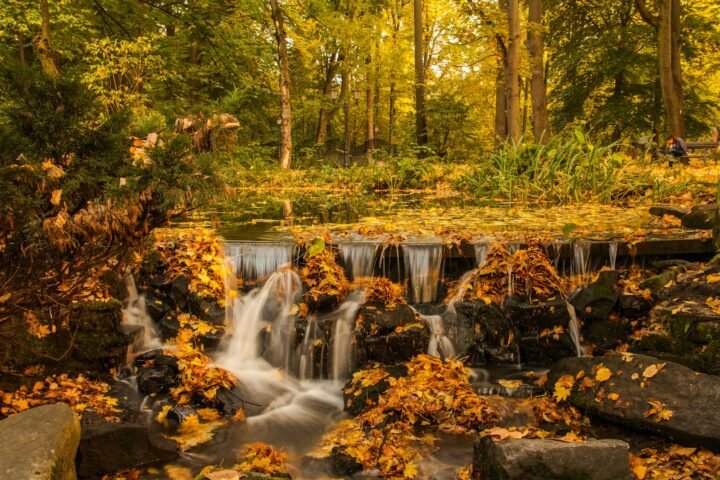 waterfalls in forest